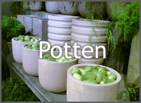 potten